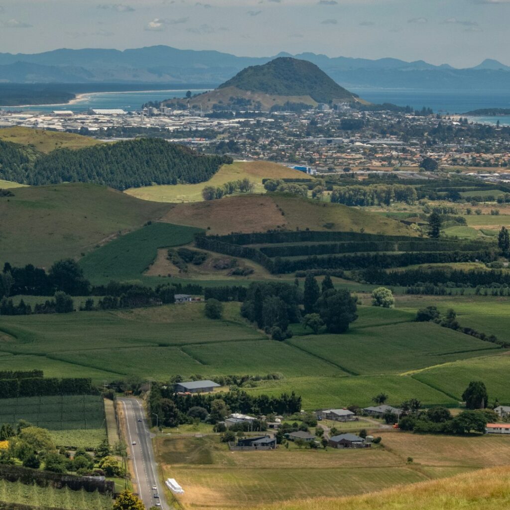 about the Bay Of Plenty