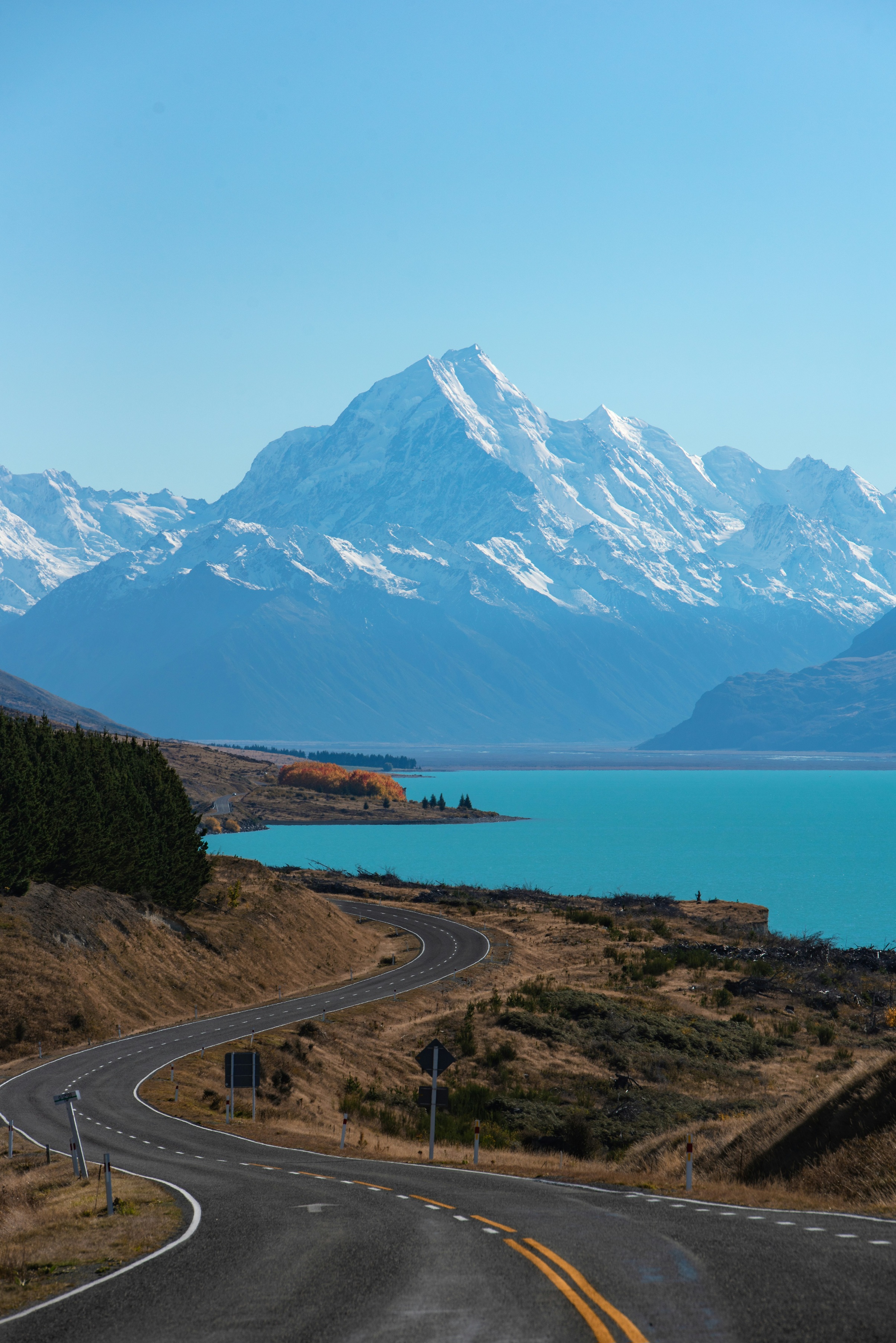 more about new zealand