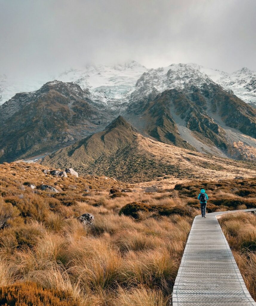 about Tasman