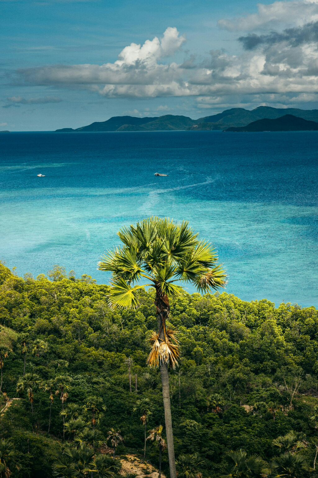 about Vanuatu