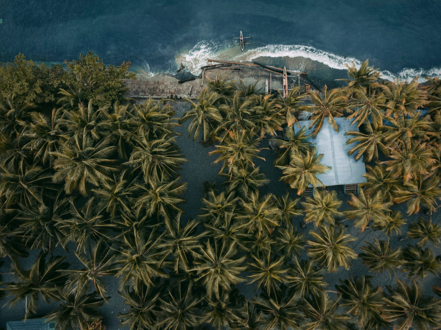 About Papua New Guinea
