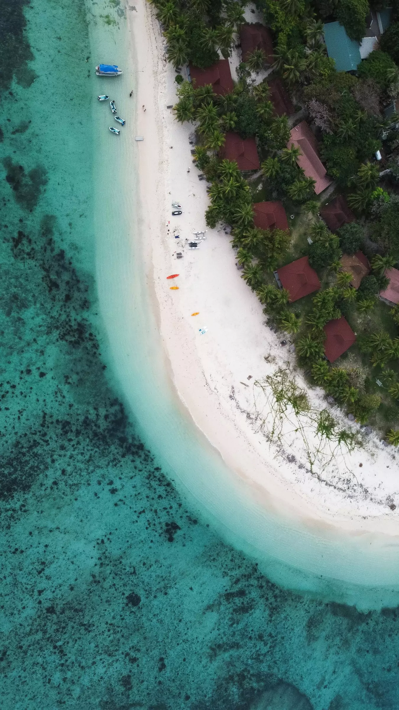 about fiji