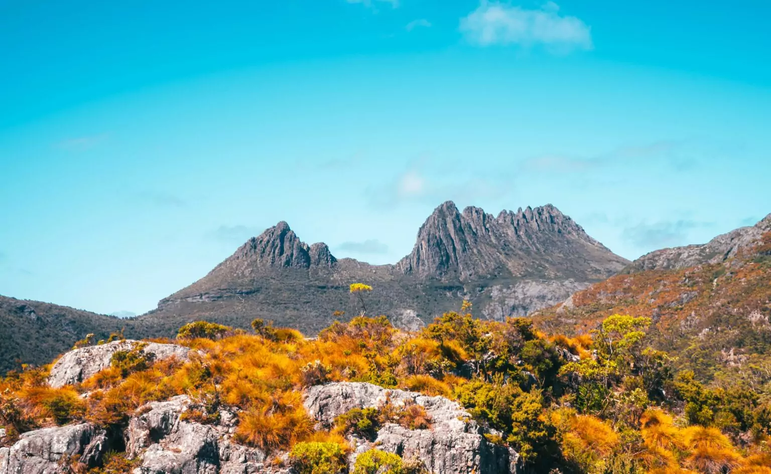 about Tasmania