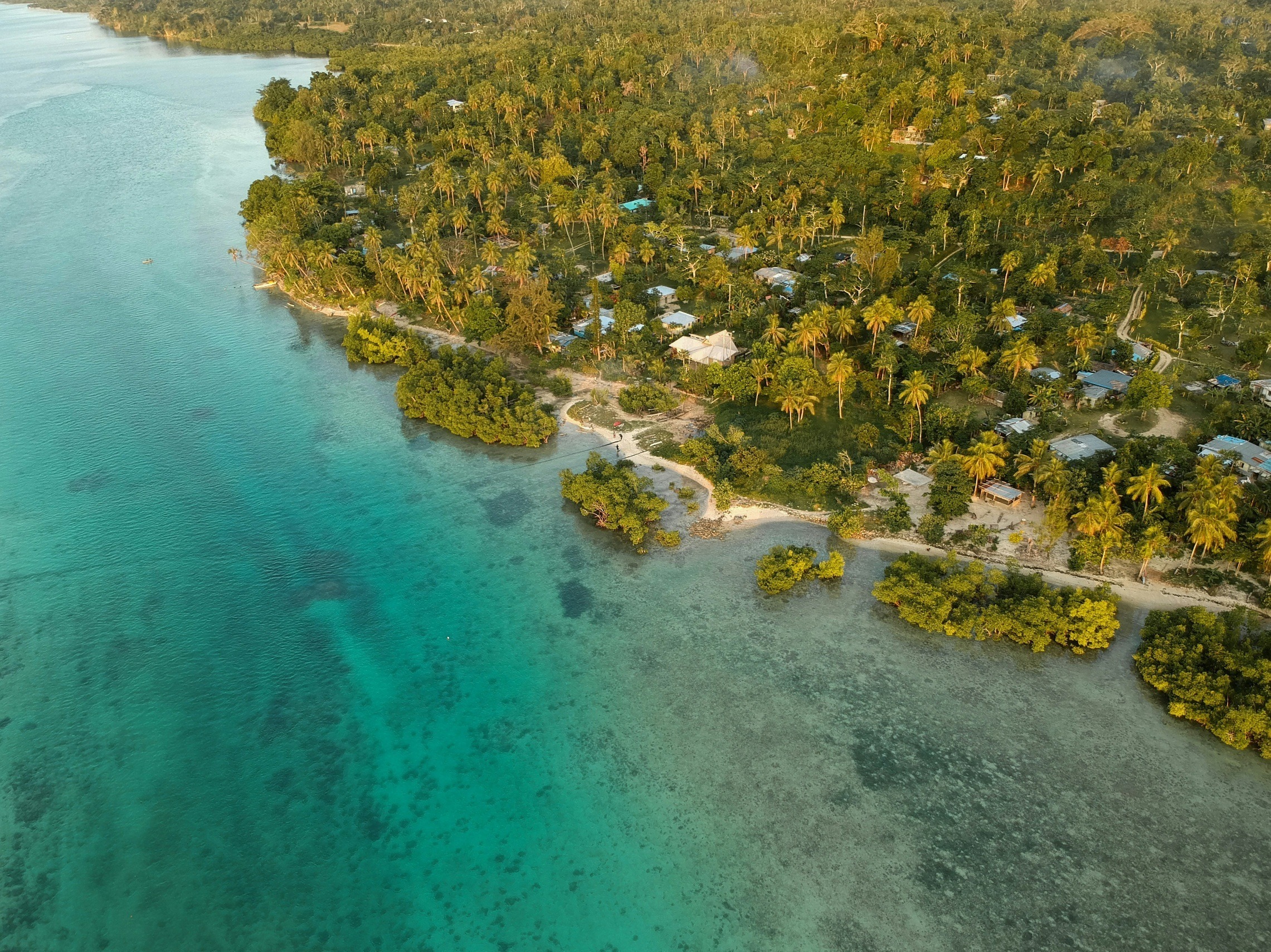 about vanuatu