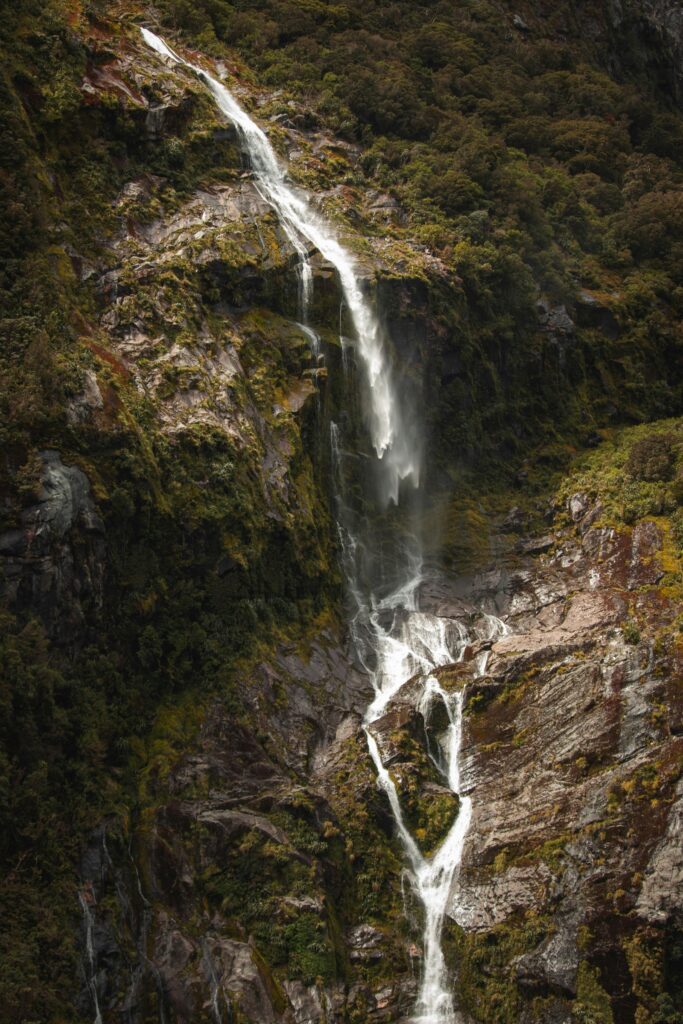southland new zealand