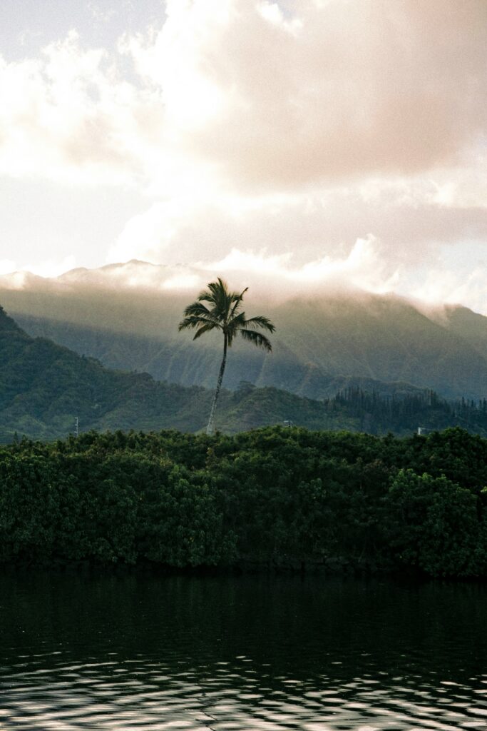 about Samoa